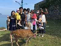 　十一長假陸客慕名馬祖鹿兒島，結伴登大坵島體驗散養梅花鹿生態和餵食樂趣。（圖／文：陳鵬雄）
