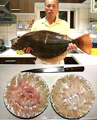 現流比目魚薄切生魚片彈Q清爽 池瑞銀捕獲近12斤