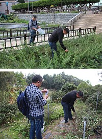 馬祖原生植物發展協會及雲津茶坊的農產品申請加入產銷履歷,相關驗證工作由中華驗證公司9日來馬稽核。(圖/文:吳嘉榮)