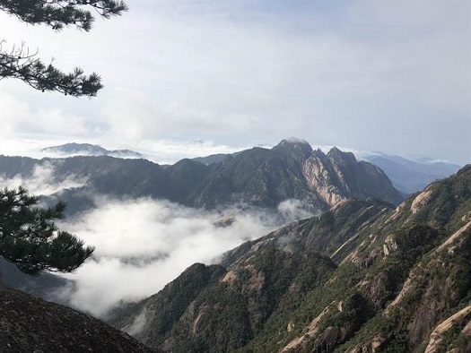 黃山奇景,被許多民眾列為是「一生一次必遊景點」。(馬瑞君攝)