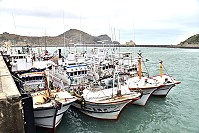 　避風頭。（圖與文：陳其敏）