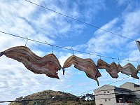 正值「風霜天」,不少長者都趁此時節出來曬魚乾,魚乾當街曬的鏡頭隨處可見,充滿濃濃的傳統漁村氛圍。(圖:王建華)