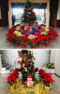 同樣的聖誕節,台馬卻是迥然不同的景色;地方民間對聖誕氣氛一向冷清,縣府大樓及縣議會大樓等幾處公部門會花心思來裝扮。(圖/文:曹重偉)