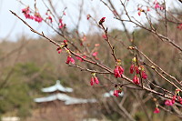 　全村一起來熱鬧！（圖與文：張登傑、陳樂團）