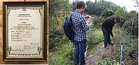 馬祖原生植物發展協會及雲津茶坊農糧產品茶葉、葉用枸杞通過產銷履歷驗證,保障消費者吃得安心、健康。(圖/文:吳嘉榮)