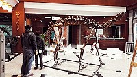 「史前巨獸-古生物特展」將於10日上午10時在民俗文物館正式亮相,進駐人員積極佈展中,開幕當天將安排專人解說,還舉辦現場有獎徵答,送出相當稀有的夜光長毛象模型,歡迎親子前往欣賞難得一見的古生物展覽。(圖/文:曹重偉)