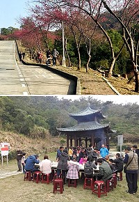 今年春節連假天氣不錯,南竿各主要旅遊景點及賞櫻點都出現人潮,相當活躍的六三同學會也選在初一中午前往勝天公園舉辦野餐,大人小孩都玩得相當開心。(圖/文:曹重偉)