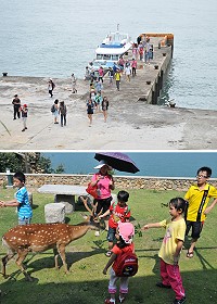 　大坵生態之旅今年提前於3月22日開航，歡迎遊客預約前往觀景賞鹿，體驗慢活旅程。（圖：本報資料室）