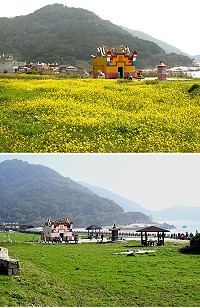 　一樣風景兩樣情。（圖與文：陳鵬雄）