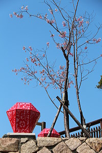 　全村一起來熱鬧！（圖與文：張登傑、陳樂團）