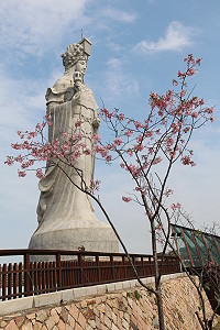 　全村一起來熱鬧！（圖與文：張登傑、陳樂團）