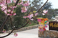 　全村一起來熱鬧！（圖與文：張登傑、陳樂團）