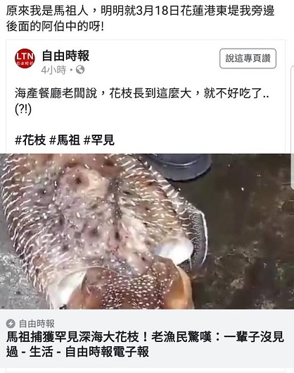 重達10公斤、長約50公分大花枝是18日在花蓮出水,台灣釣友Hou Donny指自由時報電子報21日報導北竿今天有民眾釣到有誤。(圖/摘自臉書)