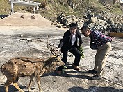 　馬管處邀屏東科技大學獸醫系副教授吳弘毅登大坵島了解梅花鹿生態現況。（圖／文：陳鵬雄）