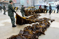 　軍民一家親！清水鄉親陳善清特別致贈裙帶菜500公斤給馬防部加菜，經縣府及公所接洽安排下，30日在突堤碼頭舉辦簡單隆重的贈送儀式。（圖／文：曹重偉）