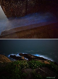 東莒猛澳碼頭(上圖)、64據點(下圖)於7日晚間出現了微量藍眼淚,藍眼淚之旅正式啟航。(圖:船老大民宿鄭智新攝)