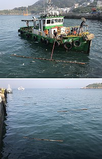 大陸海漂竹子隨流漂進西莒青帆港區,港務站站長黃德興,委託益霖六號拖駁船進行打撈,以維護港區安全。(圖/文:宋幸儒)