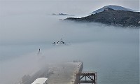 霧靄迷離　圖與文：陳其敏