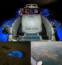 上圖:橋仔「崴盛號」娛樂漁船船長王家文13日晚間8時30分載9位遊客出海;圖下左:北竿塘后沙灘北面13日晚間聚集很多觀賞人潮,圖下右:東莒外海出現小範圍赤潮。(圖:北竿星漾海景民宿、Gida Liu、鄭智新)