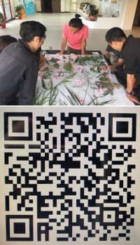 分組採集、打卡完畢後,大夥回到莒光遊客中心動手替植物分類。駐島團隊建置了東莒植物打卡地圖平台,歡迎大家掃描使用。(圖:大浦PLUS+ 團隊提供)