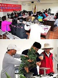 　連江縣身心障礙協會創意盆栽研習活動吸引多位障友前來體驗盆栽手創樂趣，豐富心靈饗宴。（圖／文：曹重偉）