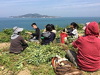 　全村一起來熱鬧！（圖與文：張登傑、陳樂團）