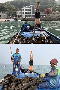 倒立先生黃明正以獨有的倒立行動,記錄橋仔海帶產業。(圖/文:陳鵬雄)