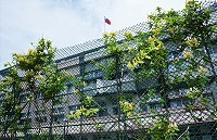 金銀飄香　圖與文：陳其敏