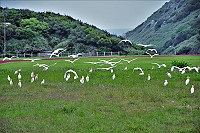白色風景　圖與文：陳其敏