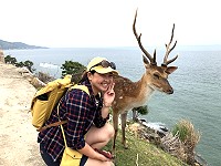 　素有馬祖奈良公園的大坵島生態旅遊正夯，島上梅花鹿經放養超過20年，登島遊客可以輕鬆與梅花鹿親近、餵食草葉，甚至有的梅花鹿會配合遊客拍照，乖乖擺出合照的姿勢。（圖與文：陳鵬雄）