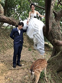　全村一起來熱鬧！（圖與文：張登傑、陳樂團）