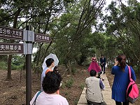 　全村一起來熱鬧！（圖與文：張登傑、陳樂團）