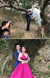 　民政處在大坵舉辦性別平權宣導寫真，4對新人首發在島上完成婚紗照。（圖／文：陳鵬雄）
