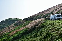　隨著氣溫節節飆升，馬祖最強勢的植物－五節芒，也開始陸續開花。先以紅褐色吹響初夏的前奏，再漸次地，轉化成如棉絮般的銀白色，以不同的風韻，壯美呈現馬祖的夏芒風景。（圖與文：陳其敏）