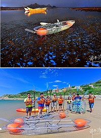 馬祖國家風景區管理處推出馬祖體驗觀光海灣旅遊多元深耕計畫,新潮透明獨木舟搭上藍眼淚極為夢幻。(圖/文:蔡夢玲、許釗滂提供)