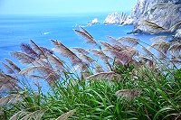 　東引的夏芒風景，美麗且壯觀。（圖／文：陳其敏）