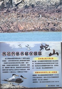 西莒蛇山每年的4月1日至9月30日燕鷗繁殖季節期間禁止登島及有任何干擾燕鷗行為,以免驚擾到燕鷗,自己也可能受罰。(圖/文:宋幸儒)