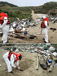 馬祖地區連二日在北竿、莒光發現死亡海豚,岸巡人員協助打撈掩埋。(圖:海洋委員會海巡署金馬澎分署第一○岸巡隊)