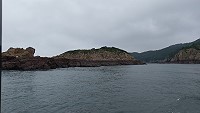 今年燕鷗數量不如以往,鐵尖島燕鷗數量相當稀少,專家正在調查原因。(圖:民眾提供)