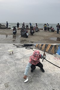 又到釣鯷魚的季節,青帆碼頭湧現釣魚人潮,偶爾也會有紅魽上鉤,增添釣魚小確幸。(圖/文:宋幸儒)