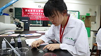 　全村一起來熱鬧！（圖與文：張登傑、陳樂團）