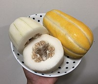 「韓國香瓜」成功種植,在東莒也能吃到「韓」味的香瓜。(圖/文:蔡夢玲)