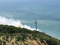 橋仔休閒廊道上方坡地10日下午發生一起離奇火燒山意外。(圖/文:陳鵬雄)