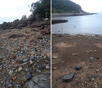 中澳口海灘潮間帶退潮時驚見上千個被浪捲走的章魚籠,若不清除恐對生態產生極大影響。(圖:北竿民眾提供)