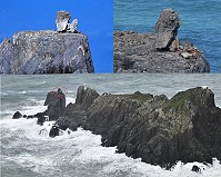 　瑪莉亞滅「鼠」。（圖與文：陳其敏）