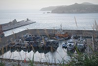 　保證安穩。（圖與文：陳其敏）
