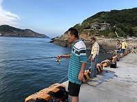 　洄游性的鯷魚季節到，北竿橋仔突堤碼頭興起一股鯷魚熱。（圖／文：陳鵬雄）