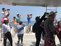 全村一起來熱鬧!(圖與文:張登傑、陳樂團)