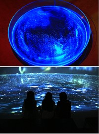 馬祖藍眼淚生態館10日下午2時正式對外營運,讓遊客一年四季都能看見絕美的馬祖藍眼淚。(圖:承虹生物科技公司)