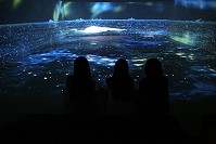　全村一起來熱鬧！（圖與文：張登傑、陳樂團）